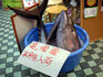 青森　魚市場